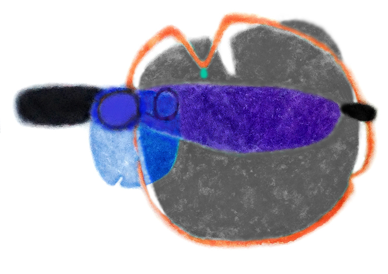 Bude přírodou V / Will Become Nature V